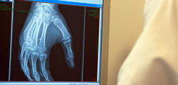 Radiologie conventionnelle