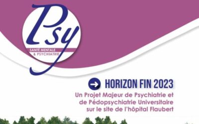 HORIZON FIN 2023 : Un Projet Majeur de Psychiatrie et de Pédopsychiatrie Universitaire sur le site de l’hôpital Flaubert