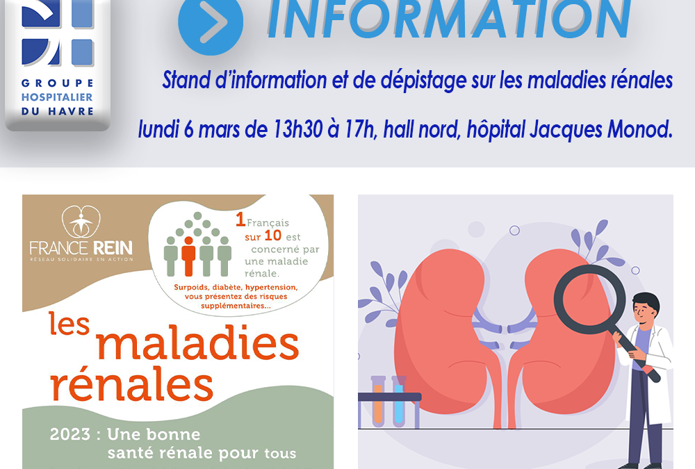 Stand d’information sur les maladies rénales