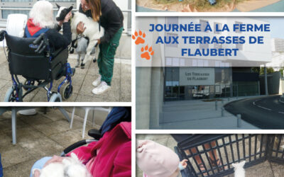 🐾 😃 Des animaux dans le patio des Terrasses de Flaubert du GHH pour le plus grand plaisir des aînés et des petits 👵👴 🧒 !