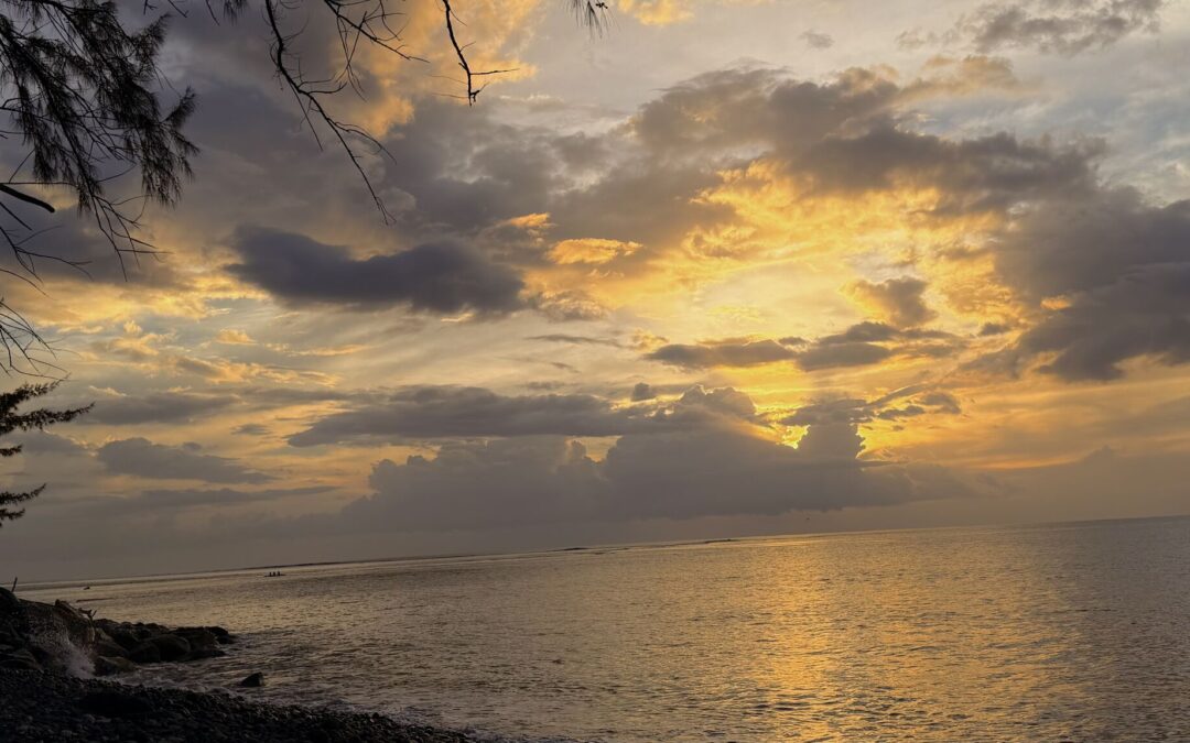 🌍 Quand la formation des étudiant(e)s de notre IFP dépasse les frontières !