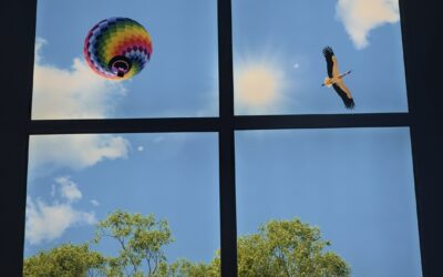 🌿 Apaiser, rassurer, humaniser : la nature s’invite au bloc opératoire du GHH pour mieux accompagner les patients🌄